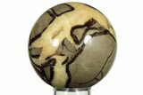 Polished Septarian Sphere - Madagascar #227562-1